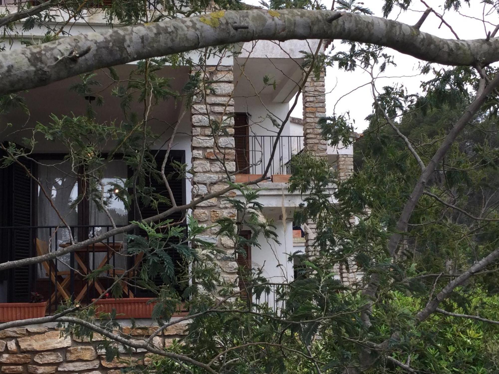 La Coma Sa Riera Apartment Begur Ngoại thất bức ảnh